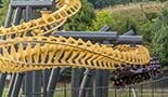 Vertical Loop on Batwing at Six Flags America