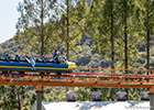 Click to enlarge Jet Coaster at Higashiyama Zoo