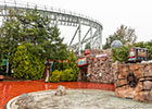 Do-Dodonpa roller coaster
